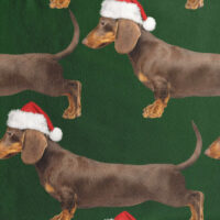 SNURK James XMAS