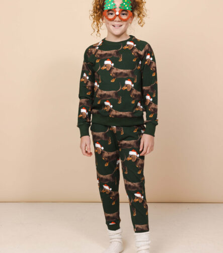 SNURK James Xmas Sweater kids